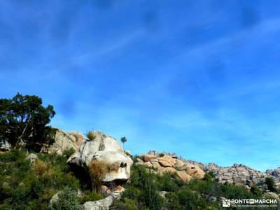 Gran Cañada-Cerro de la Camorza; viajes para noviembre rutas selva irati excursiones vizcaya valle d